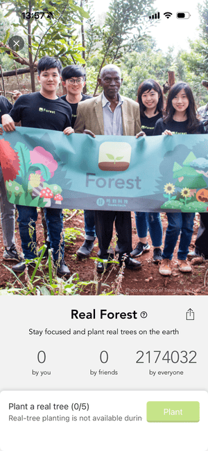 plant real trees for the future (1)